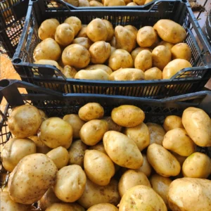 Cal banato verduras